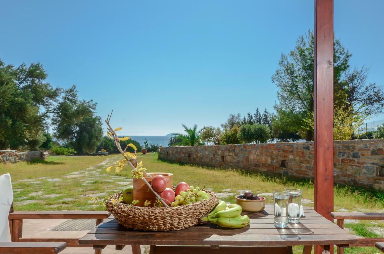 Theonis Villas Moutsouna Exterior photo